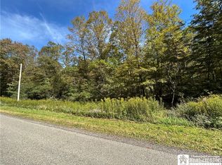 10613 Hanover Rd LOT 23, Forestville, NY 14062