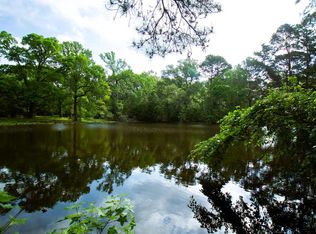 938 Jones Rd, New Waverly, TX 77358