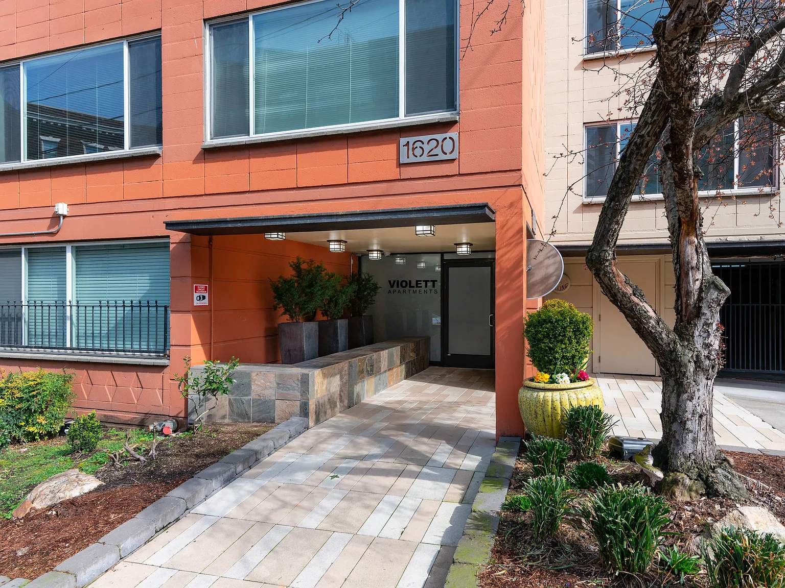 Violett On Melrose Apartments — Photo 2