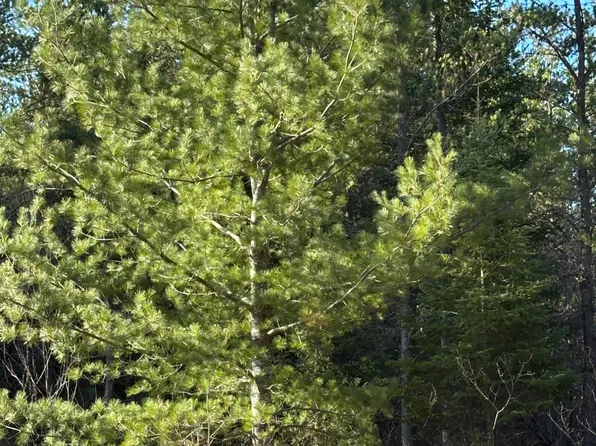 Lower Kaubashine Rd #4094-4, Hazelhurst, WI 54531