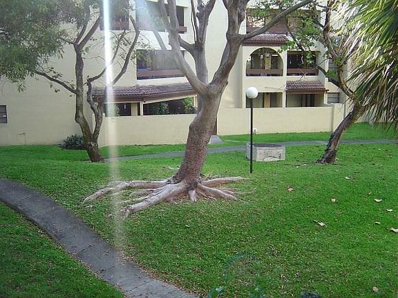 5th image of 8800 SW 123rd Ct #J205