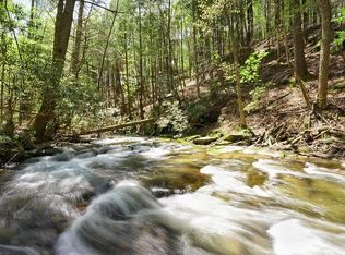 353 Goldmine Dr, Ellijay, GA 30536