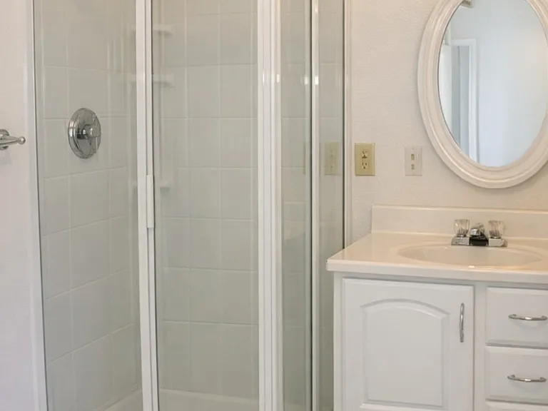 Downstairs bathroom and shower