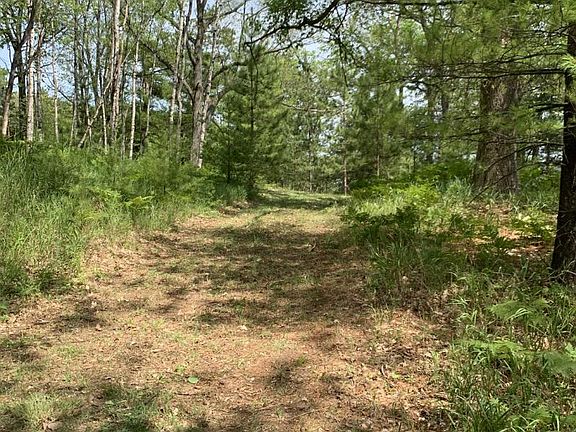 5th image of McCollum Lake Rd