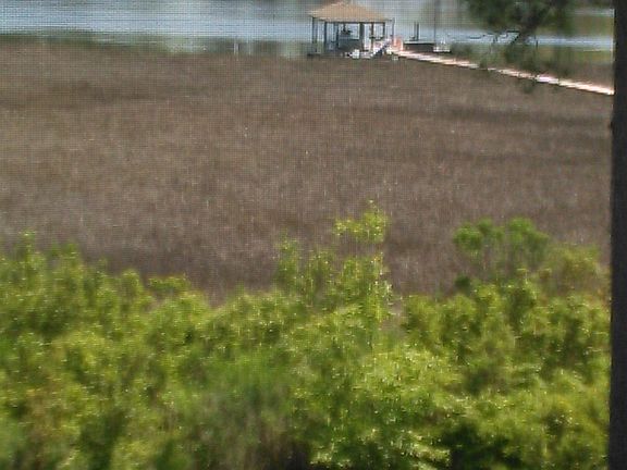view of bayou behind home