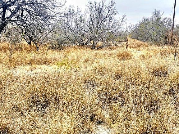 4th image of Out Of Area