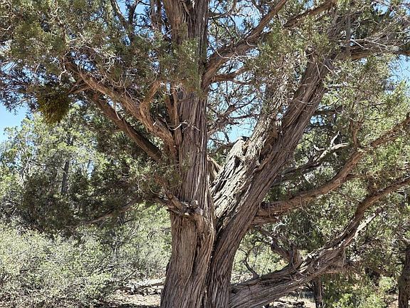 3rd image of 179 Arizona Rd