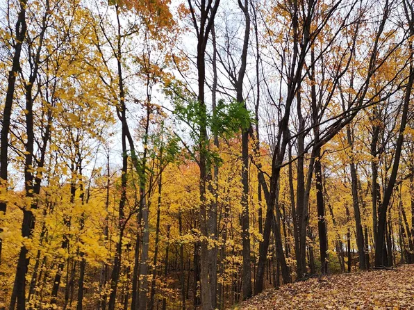 16176 ORCHARD VIEW ROAD, Soldiers Grove, WI 54655