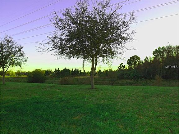 2nd image of 19324 Timber Pine Ln