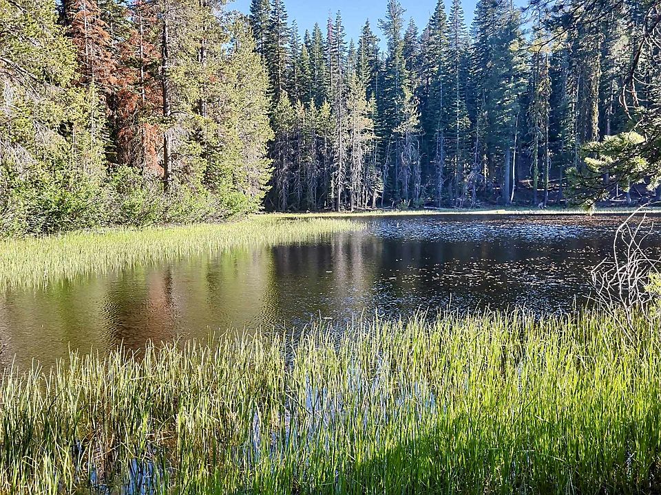 1st image of 0 Forest Rd