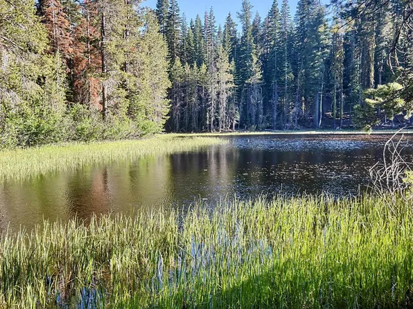 0 Forest Rd, Soda Springs, CA 95728