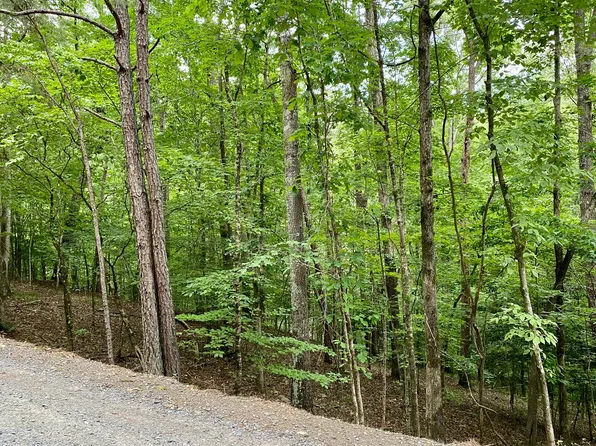 297 Oneida Cir #1, Ellijay, GA 30540