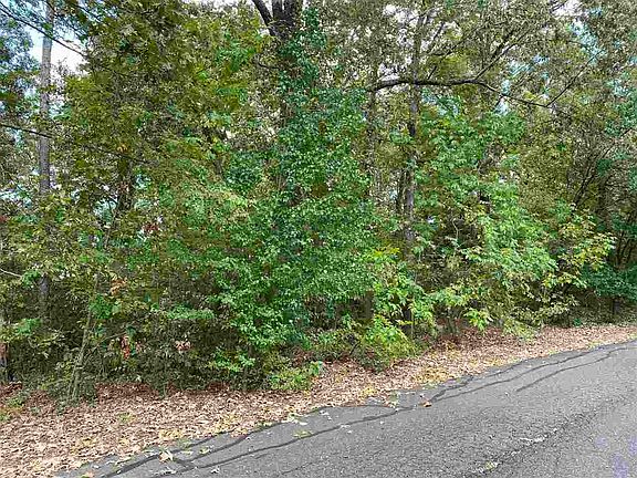 3rd image of 6401 Edgehill Cir