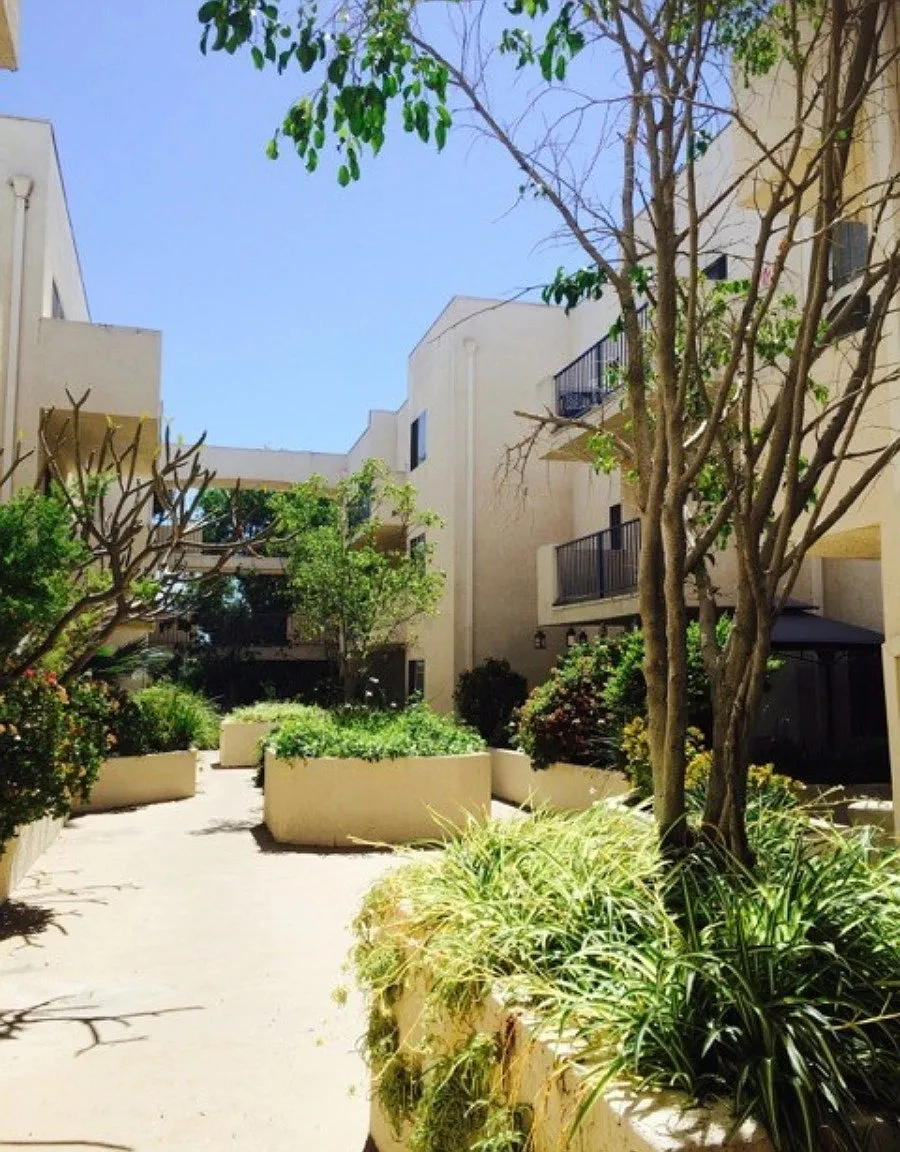 Palm Terrace — Photo 3