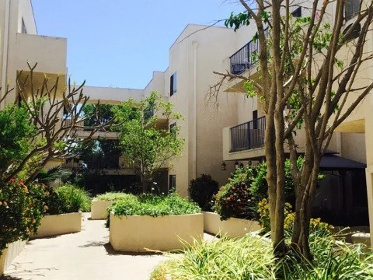 Palm Terrace — Photo 4