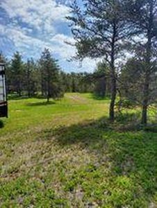 733 E Four Mile Rd, Grayling, MI, 49738