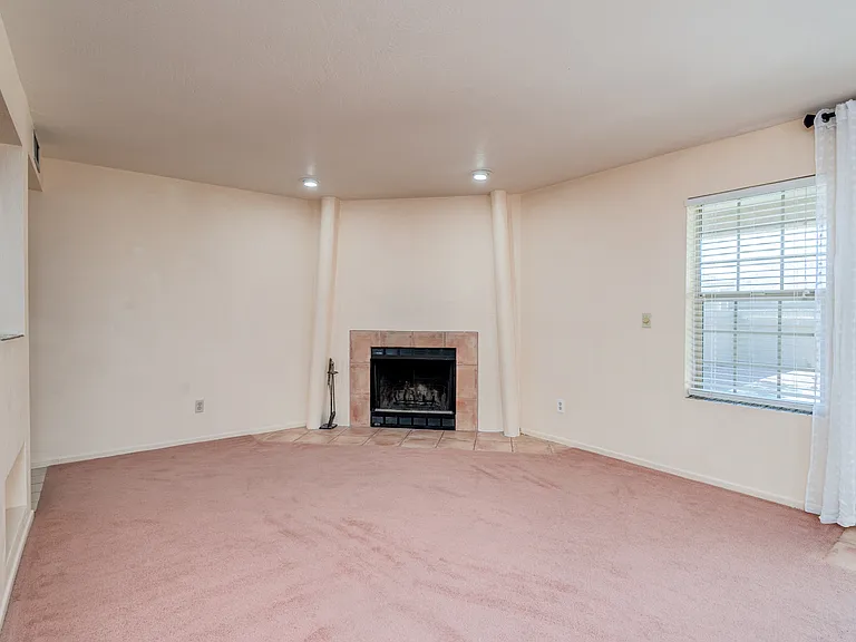 LIVING ROOM & FIREPLACE