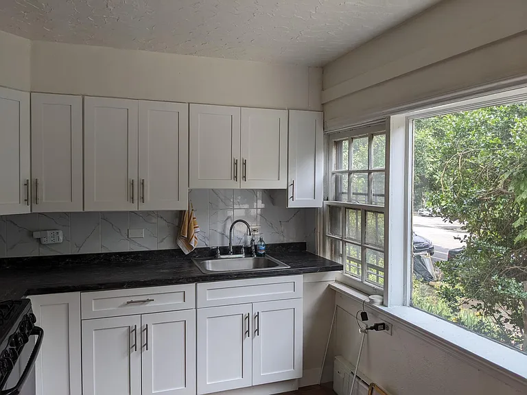 4605 Springfield Ave #1F — Photo 3