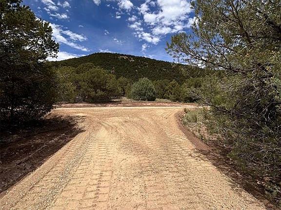 4th image of 1235 Corral S