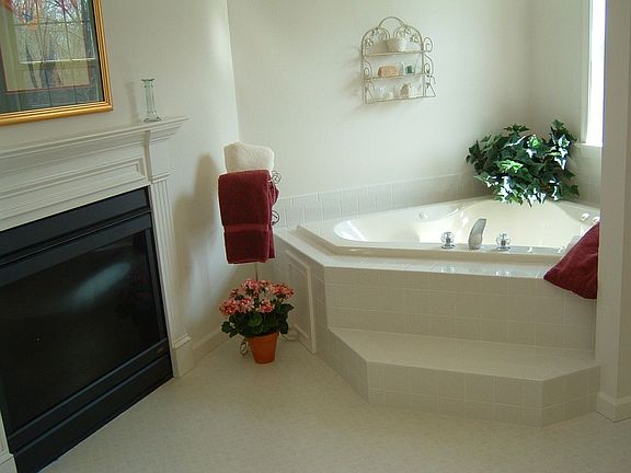 master bath jacquizzi tub and fireplace