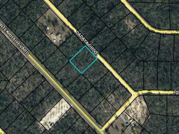 LOT 12 Papaya Dr #3, Marianna, FL 32448