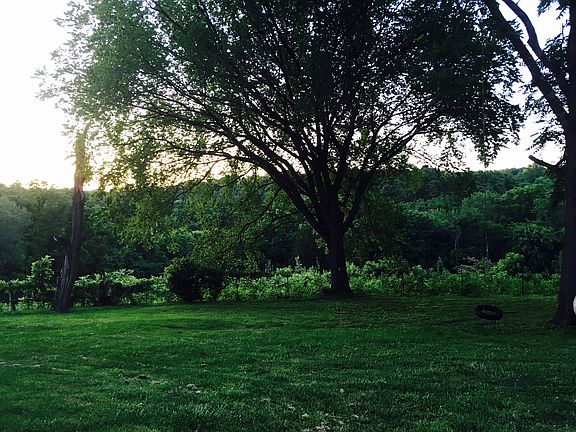 Back Yard 2018