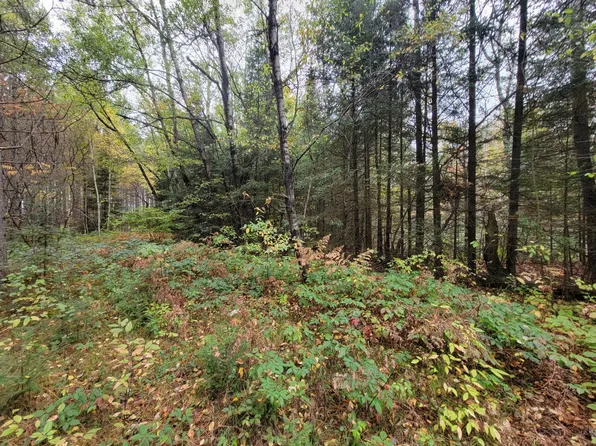 On Cth #B-lot 2, Deerbrook, WI 54424