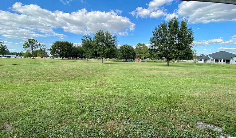 Backyard view #3