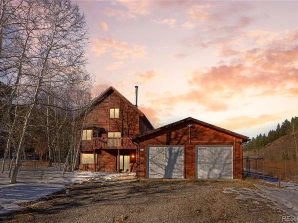 81 Silver Springs Road, Bailey, CO 80421