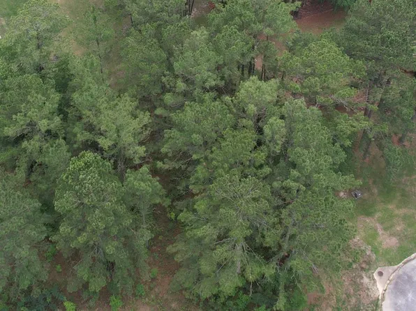 115 Marys Ct, Ochlocknee, GA 31773