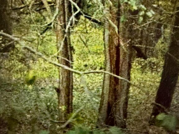 2nd image of 126 Riverside Dr