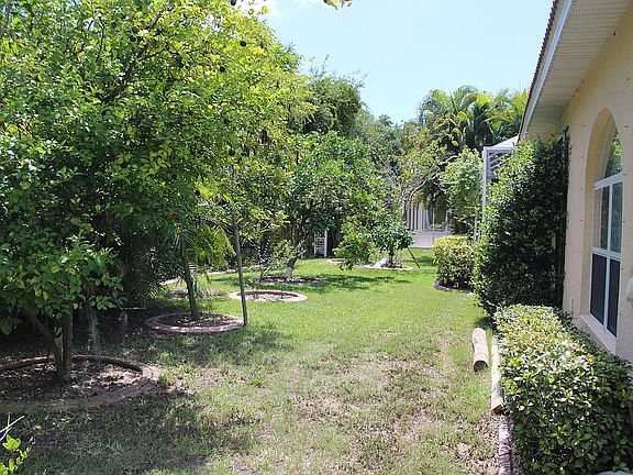 Backyard with Fruit Trees