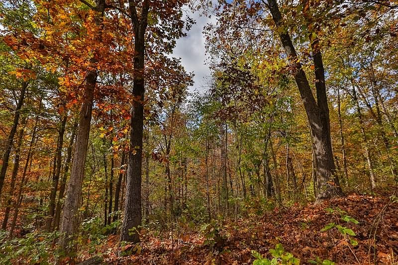 2nd image of 8615 Panorama Rd