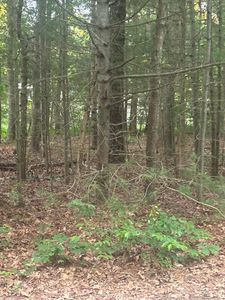 37 Ships Rudder Drive, Mashpee, MA, 02649