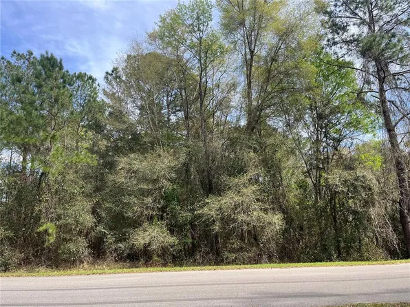 123 Ramsey Dr #42, Melrose, FL 32666