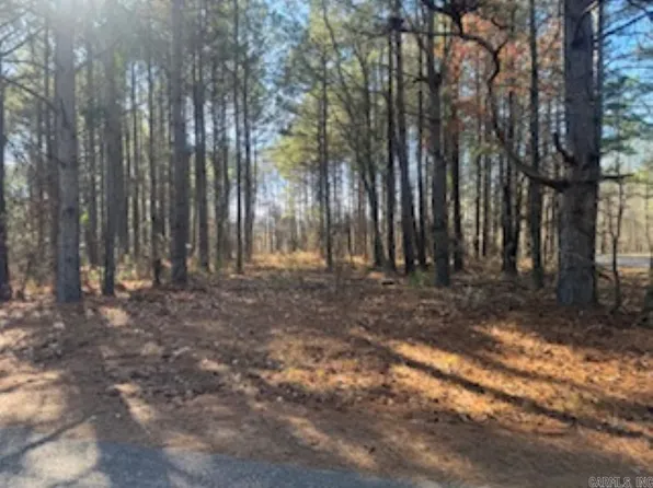 (undisclosed Address), Arkadelphia, AR 71923