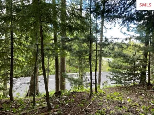 4114 Burns Ct, Sandpoint, ID 83864