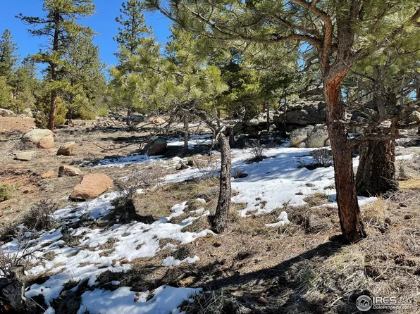 237 Mount Massive Dr, Livermore, CO 80536
