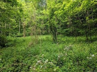 9999 Hunter Creek Rd, Marshall, NC 28753