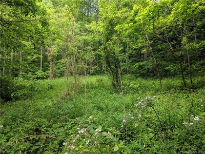 9999 Hunter Creek Rd, Marshall, NC, 28753