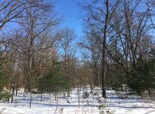 13332 Hill Top Dr NE, Gowen, MI