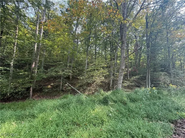 0 Buck Run Rd, Pennsboro, WV 26415