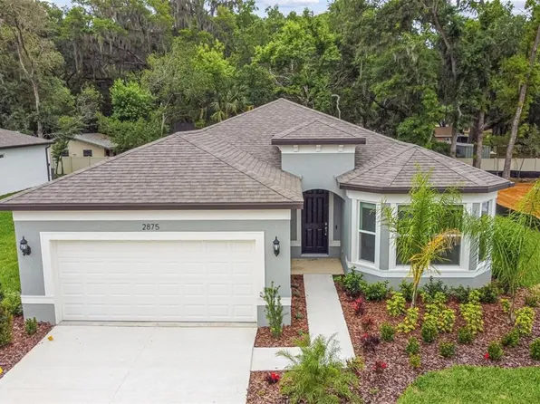 2875 Yellow Barn Ln, Valrico, FL 33594