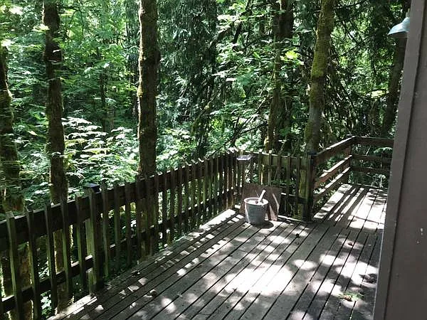 Minnow Creek Rd — Photo 17