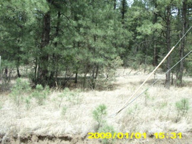 2nd image of Gavilan Canyon Rd