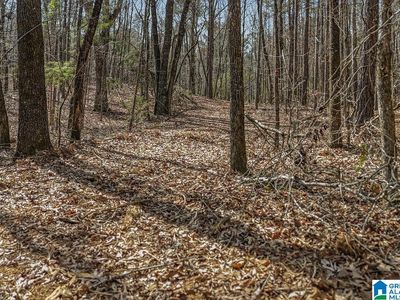 LOT 4 Highway 47 Lot 4, Columbiana, AL, 35051