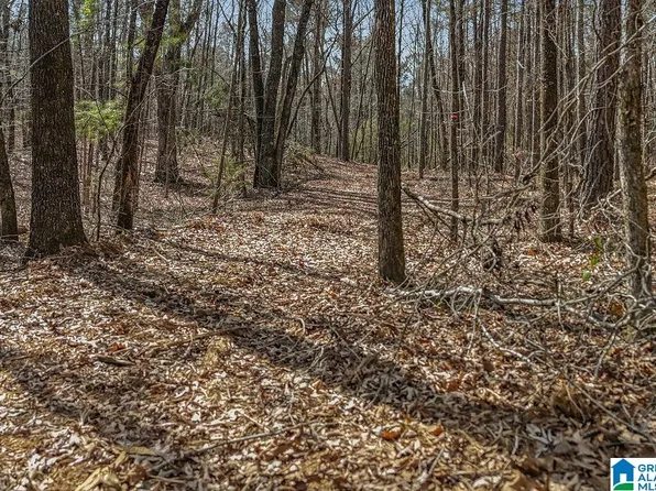 LOT 4 Highway 47 Lot 4, Columbiana, AL 35051