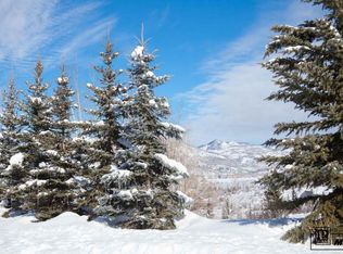 810 Mauna Kea Ln, Steamboat Springs, CO 80487