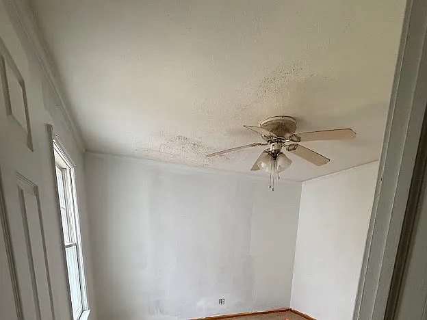 731 Conard Ct — Photo 8