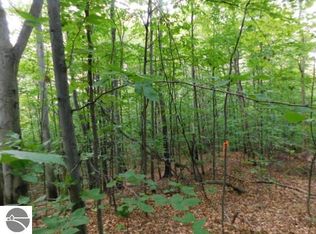 4886 Townline Rd NW, Williamsburg, MI 49690